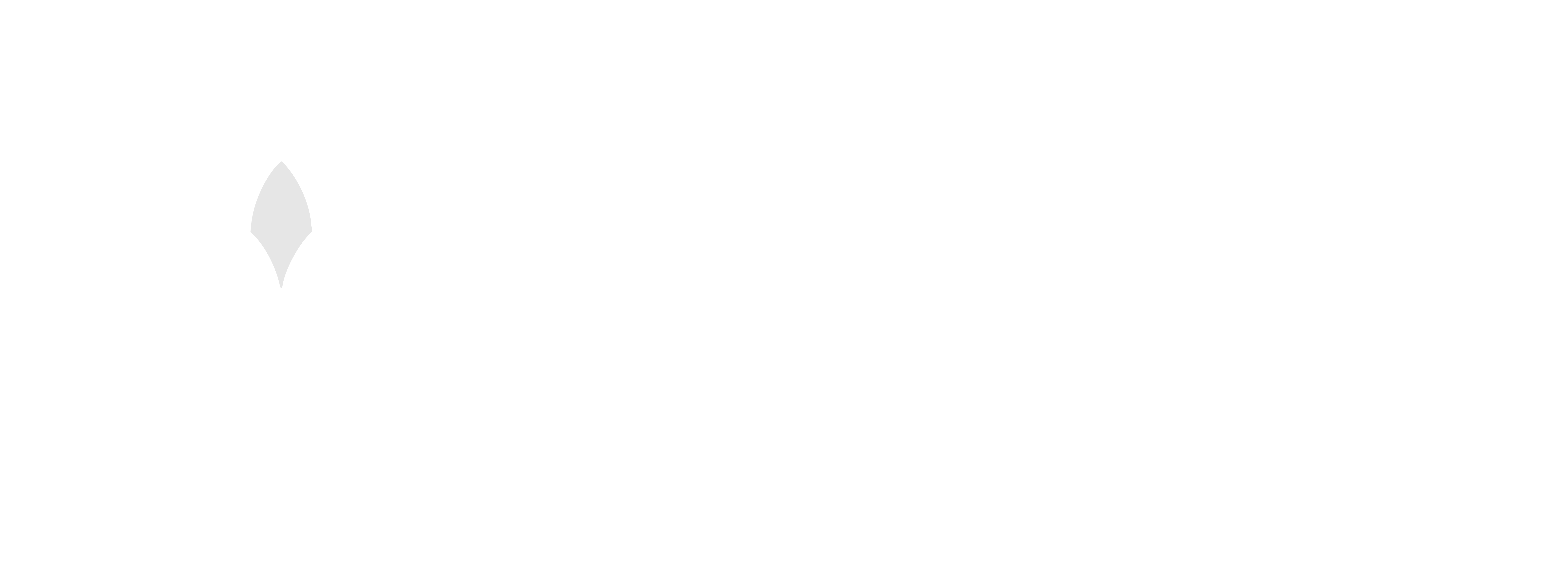 Customer logo 12