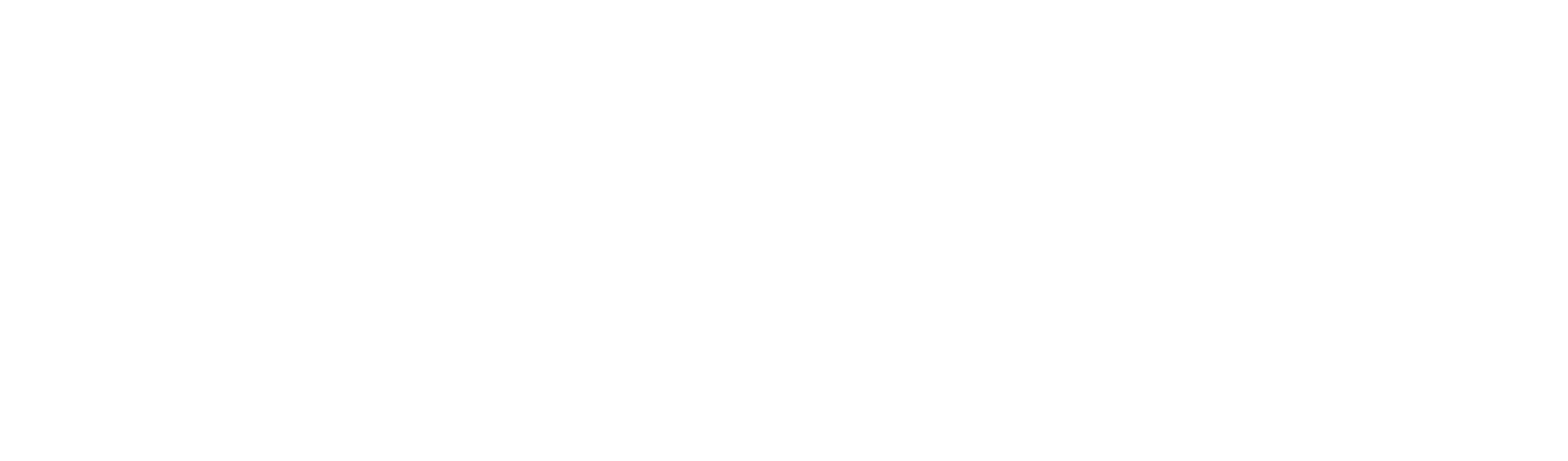 Customer logo 17