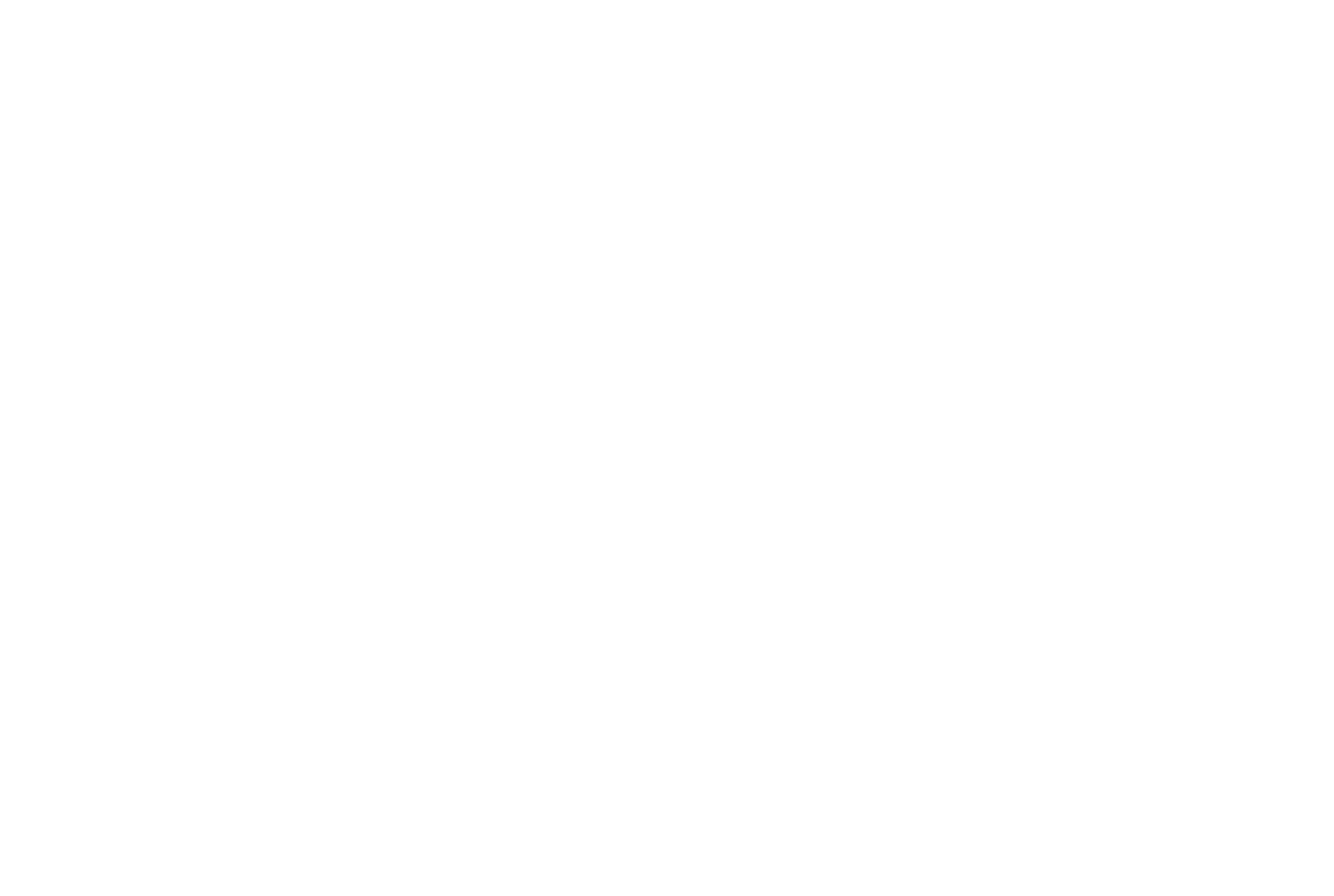 Customer logo 3